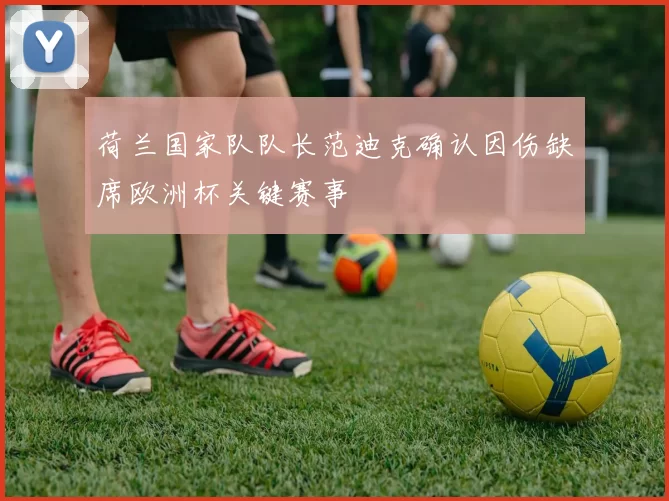 荷兰国家队队长范迪克确认因伤缺席欧洲杯关键赛事